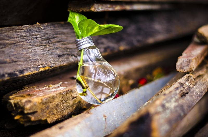 Creative upcycling